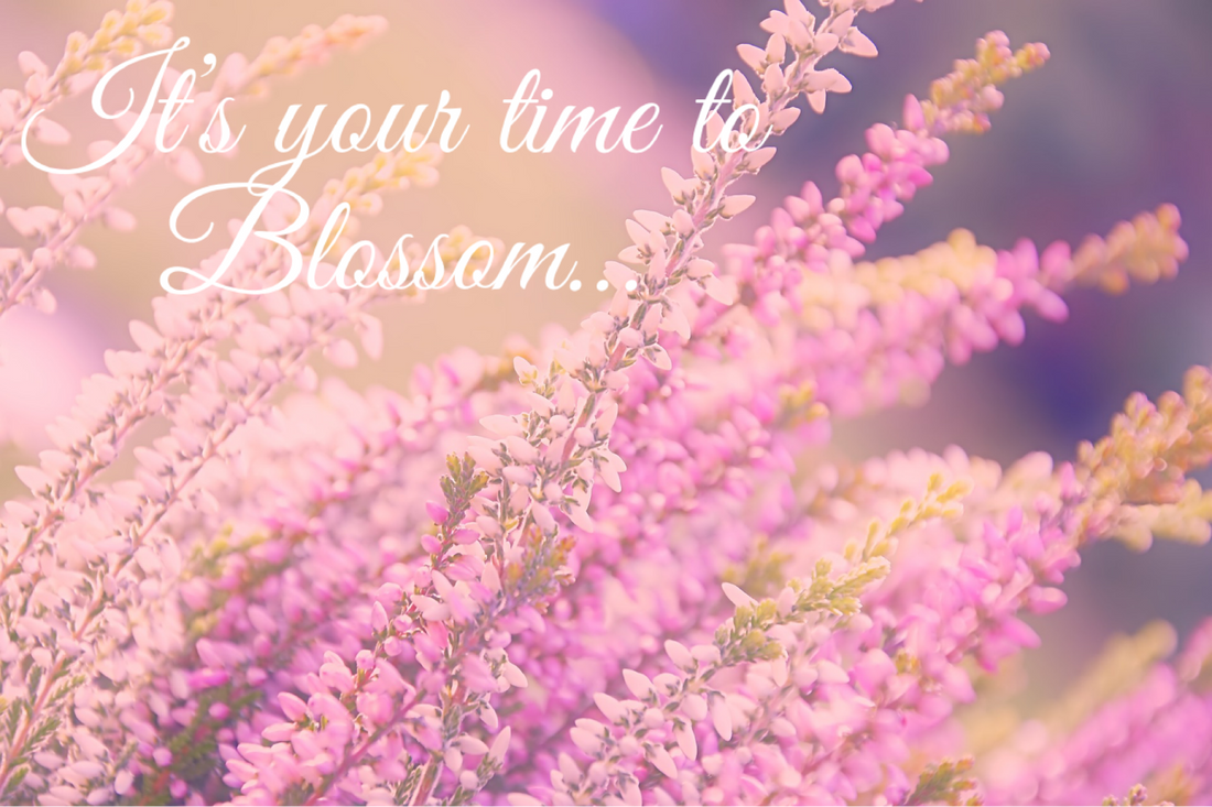 Blossom